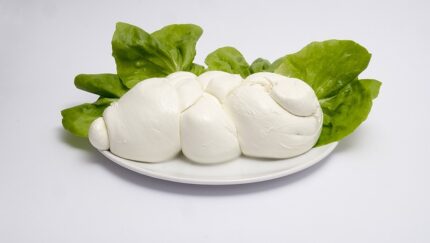 Mozarella bufala campiona DOP 125g VERA | szt.